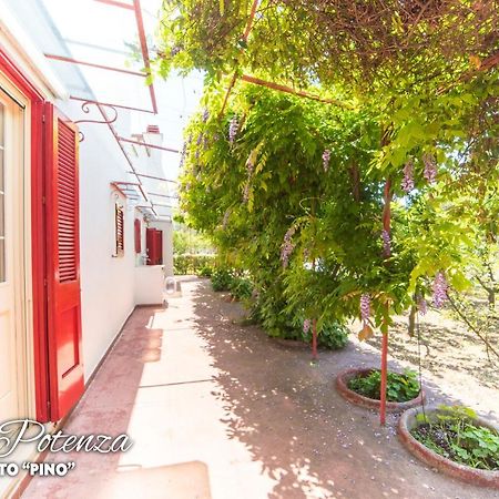 Villa Potenza Галатоне Екстериор снимка