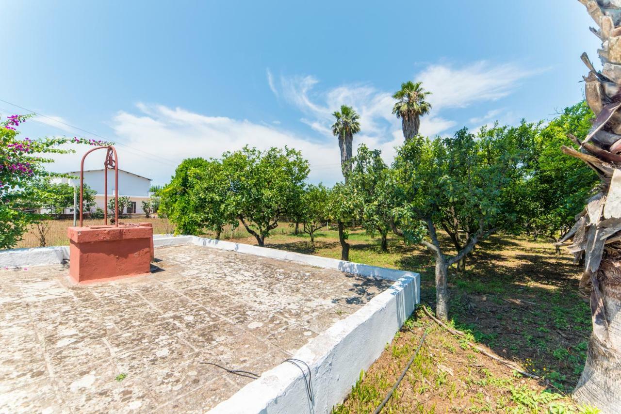 Villa Potenza Галатоне Екстериор снимка